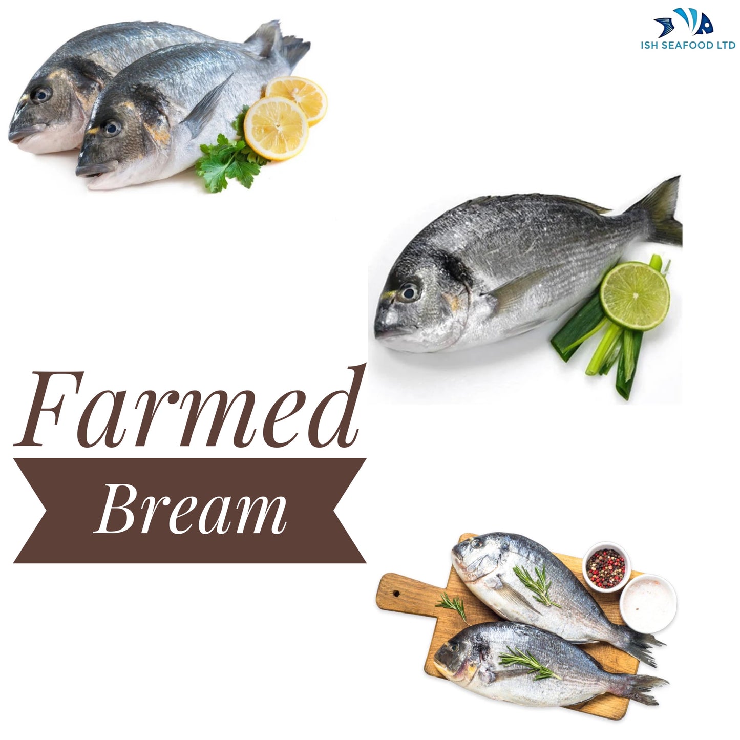 Farmed Sea Bream