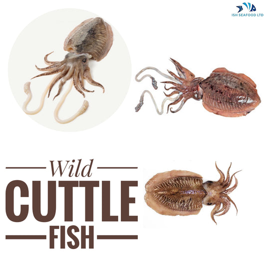 Cuttle fish