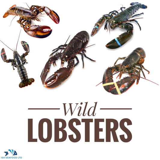 Lobsters