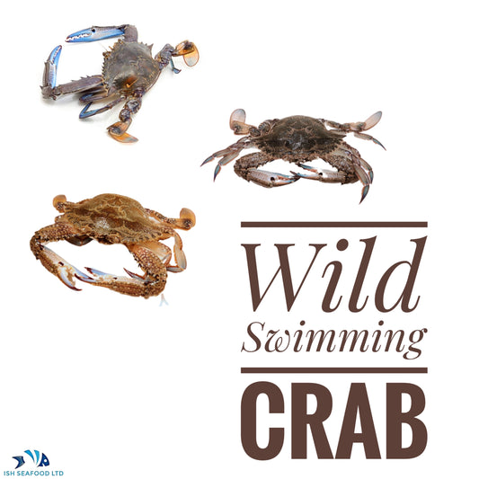 Swimming crab