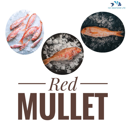 Red Mullet