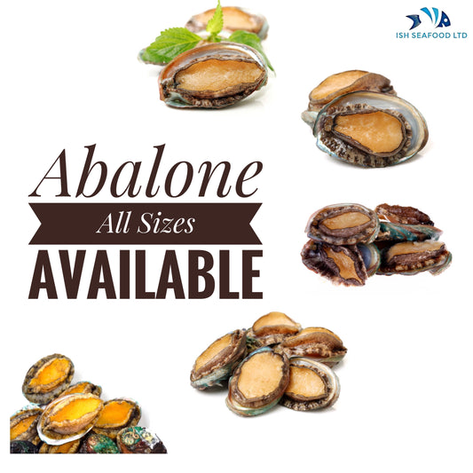 Australian Abalone