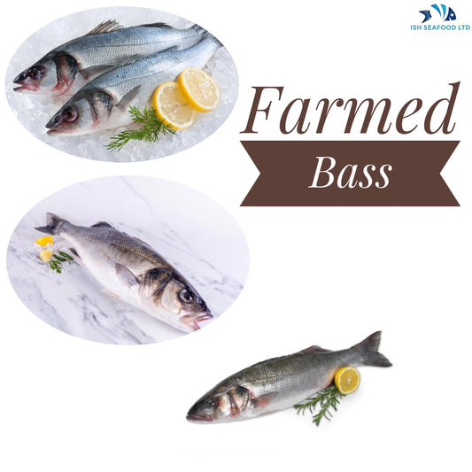 Farmed Sea Bass