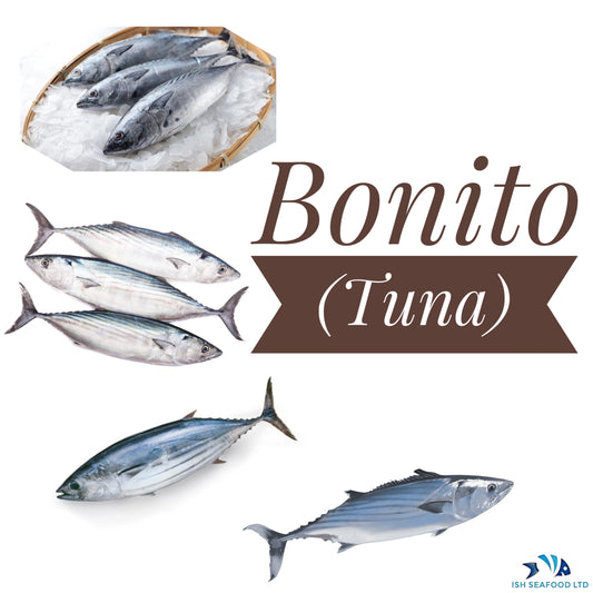 Bonito (Tuna)